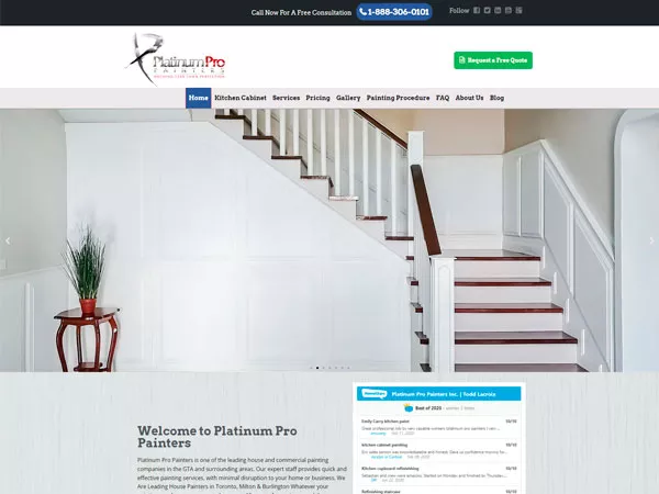 Platinum Pro Painters